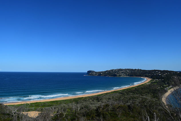 5 Daytrip Bushwalks From Sydney, Australia - Paste